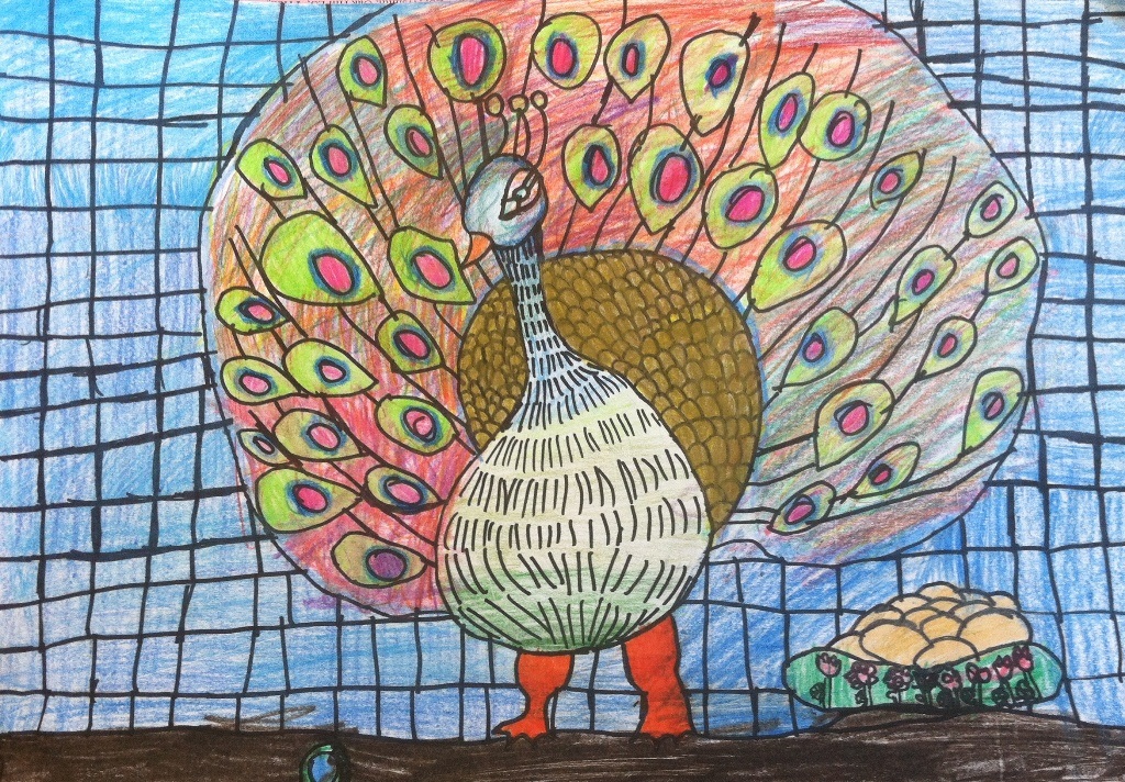 " Peacock "